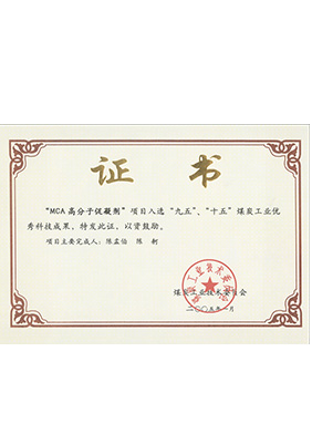 2005年1月MCA高分子促凝劑獲“九五、十五”科技成果獎(jiǎng)